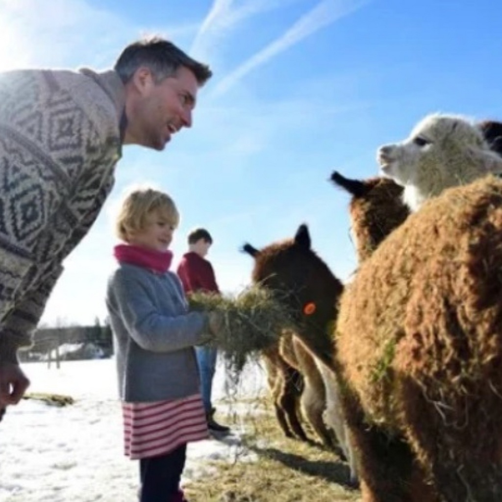 Father's Day Favorites: Exceptional Alpaca Gifts for Dad!